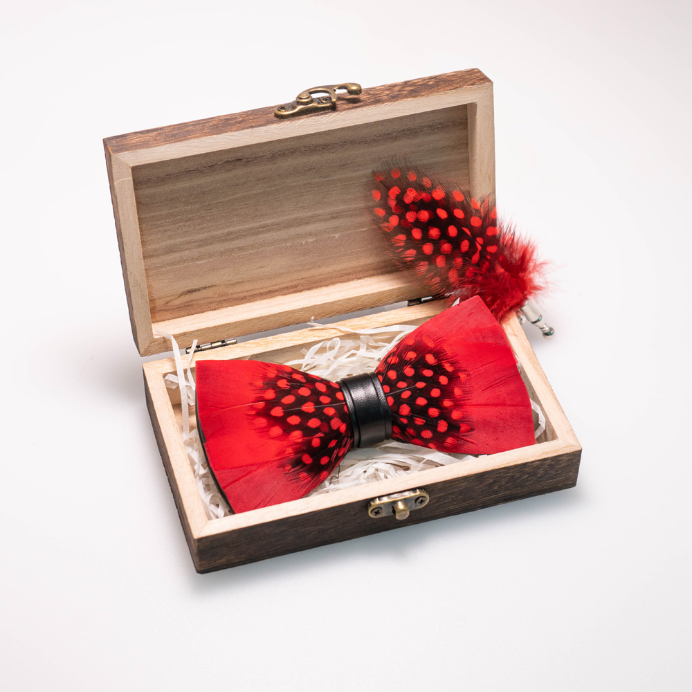 EASTEPIC Spilla con papillon i - Neck Tie Set Box recensione e prezzo